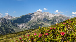 Arlberg in bloom